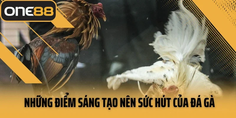 Những điểm sáng tạo nên sức hút của đá gà ONE88